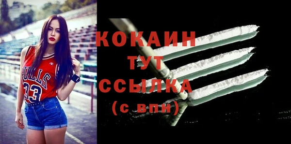 гашик Новодвинск