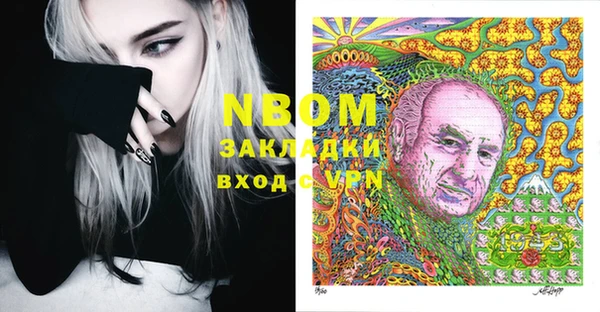 гашик Новодвинск