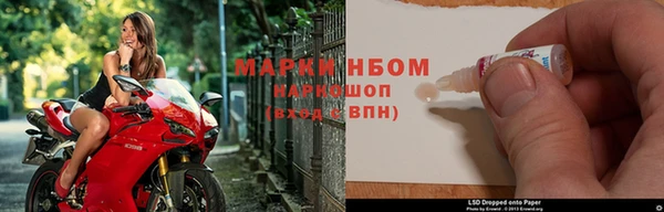 гашик Новодвинск