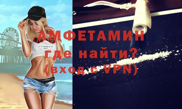 гашик Новодвинск