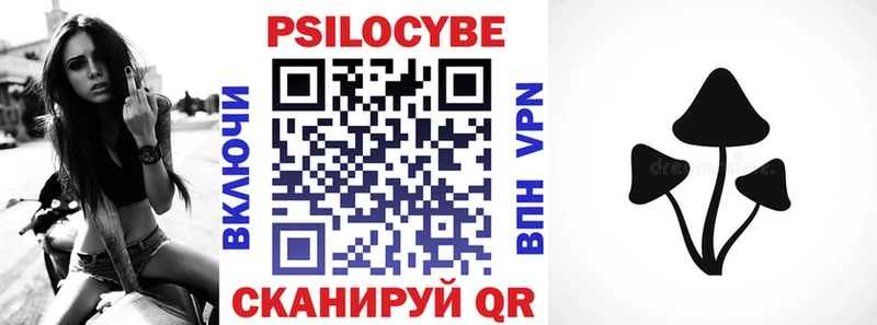 kraken вход Красный Кут Галлюциногенные грибы Cubensis